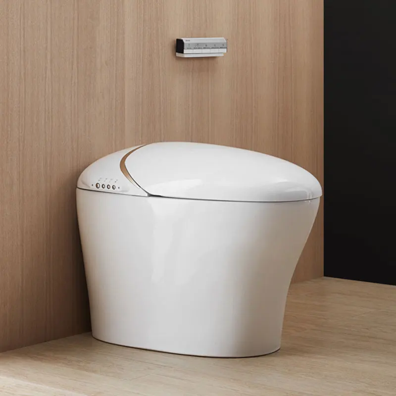 Bravat Maple Bathroom smart toilet electrical Intelligent toilet