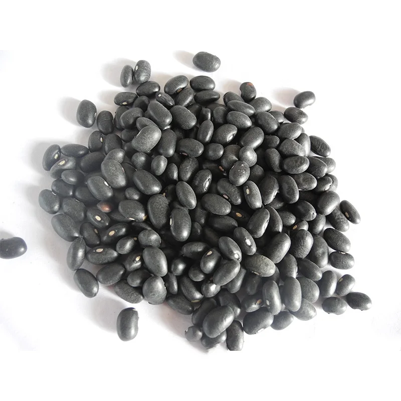 Factory Sale Bulk Black Kidney Beans with High Quality
