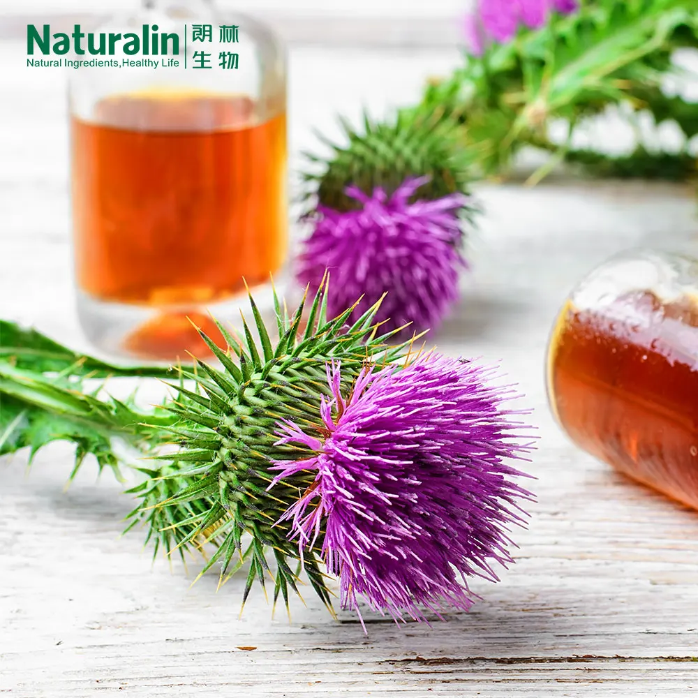Hot Style Food Supplement Ingredients Silybum Marianum (L.) Gaertn 80% silymarin 30% silybin Milk Thistle Extract
