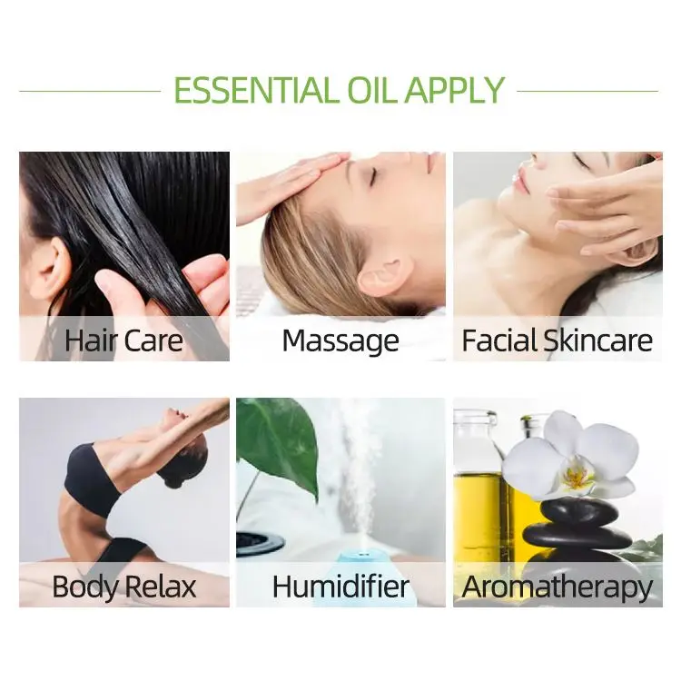 100% Pure Clove Essential Oil Thailand