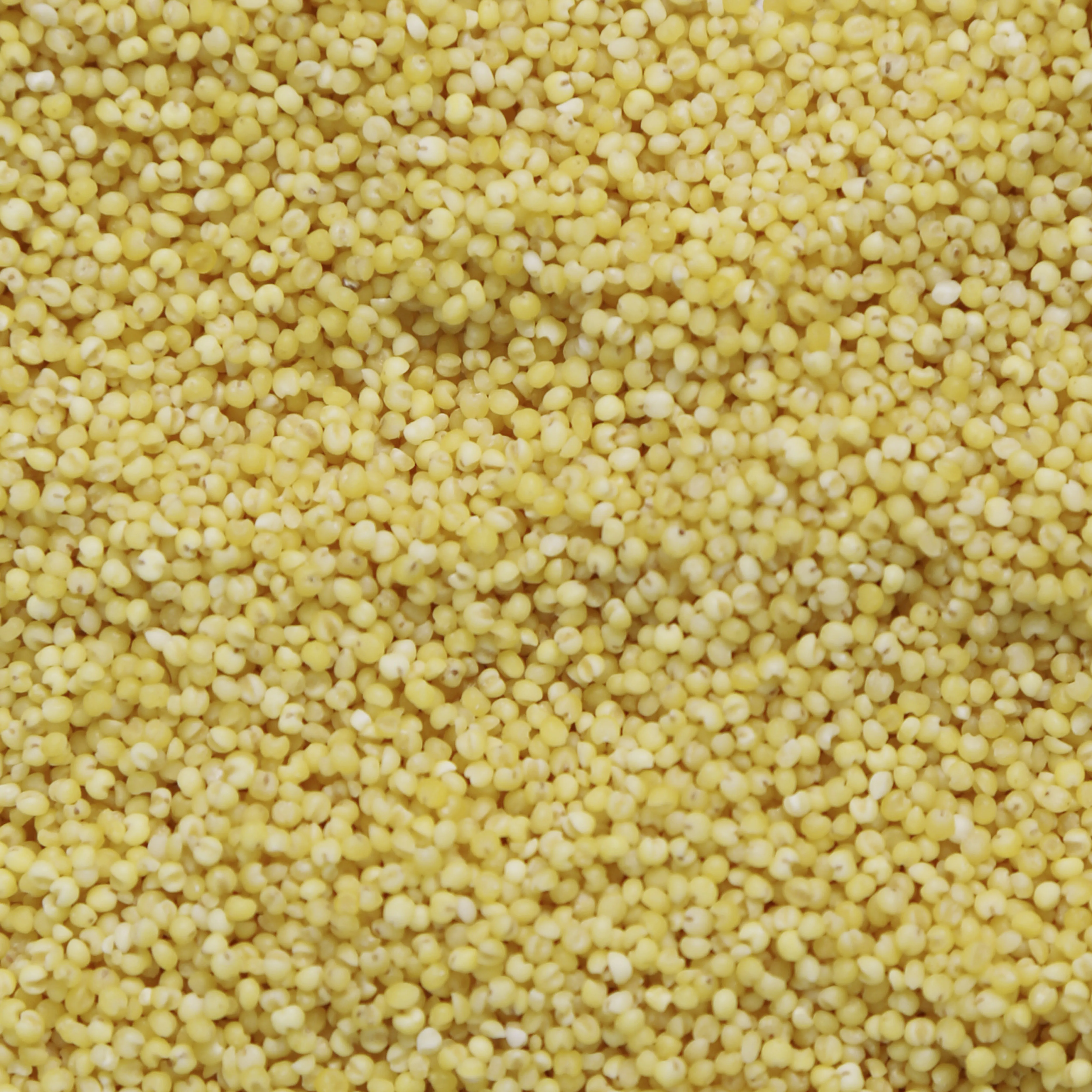 China Sale Good Quality Dried Whole Millets Grains For Animal Feed Food Grade Organic Millets at Wholesale Price