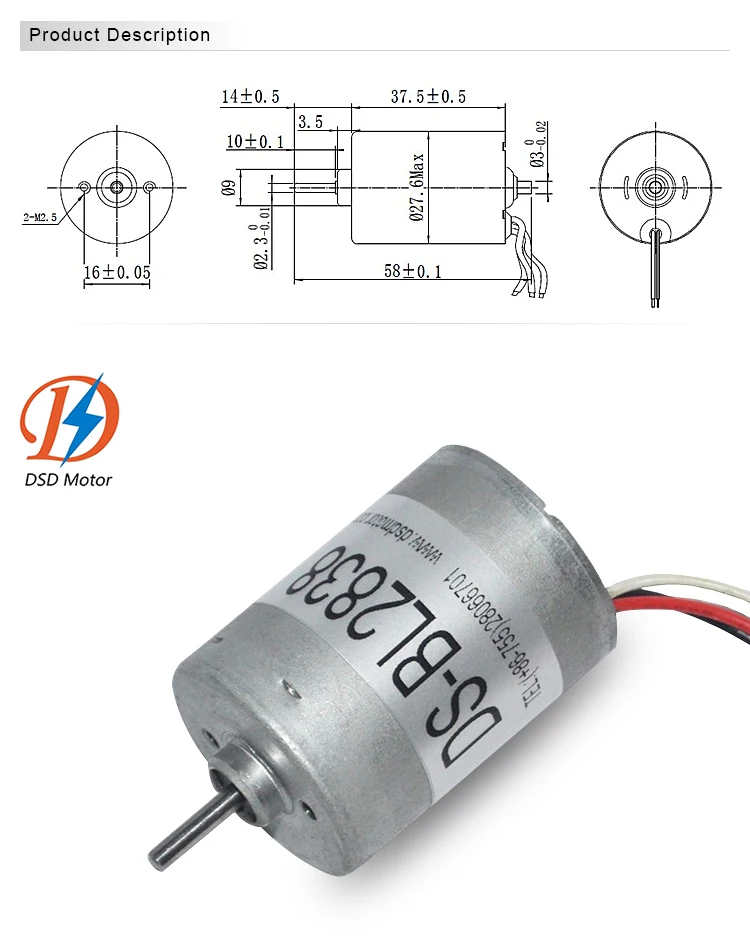 DSD-BL2838 small dc motors brushless dc motor 12v for windshield wiper