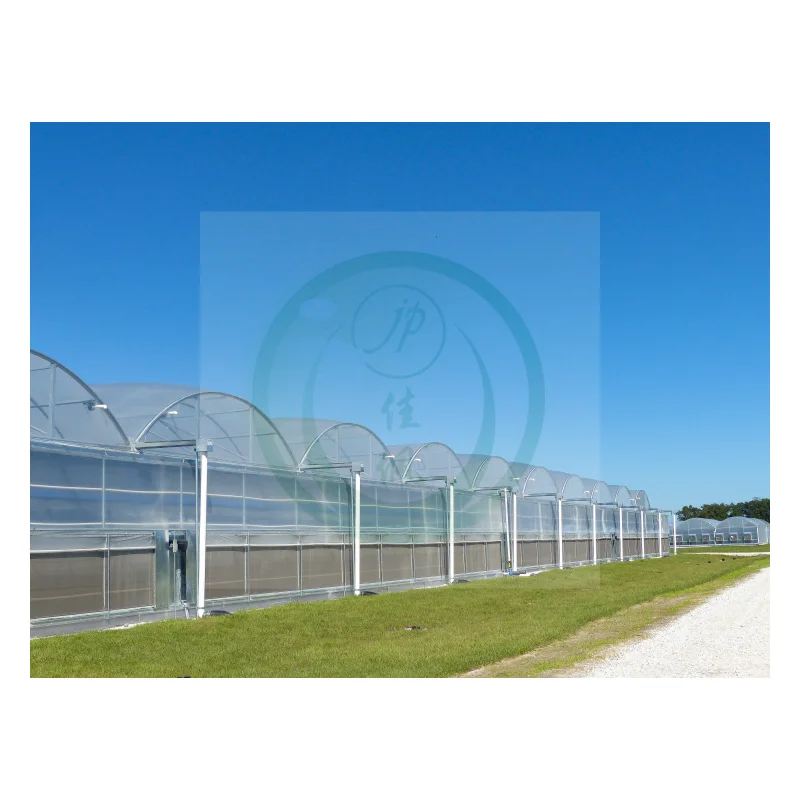 Jiapei Multi-span low cost agricultural tomato hydroponic Growing System vertical planting Cultivation flim blueberry greenhouse