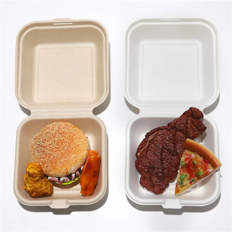Biodegradable Disposable Ecofriendly Bamboo Pulp Sugarcane Bagasse Lunch Box