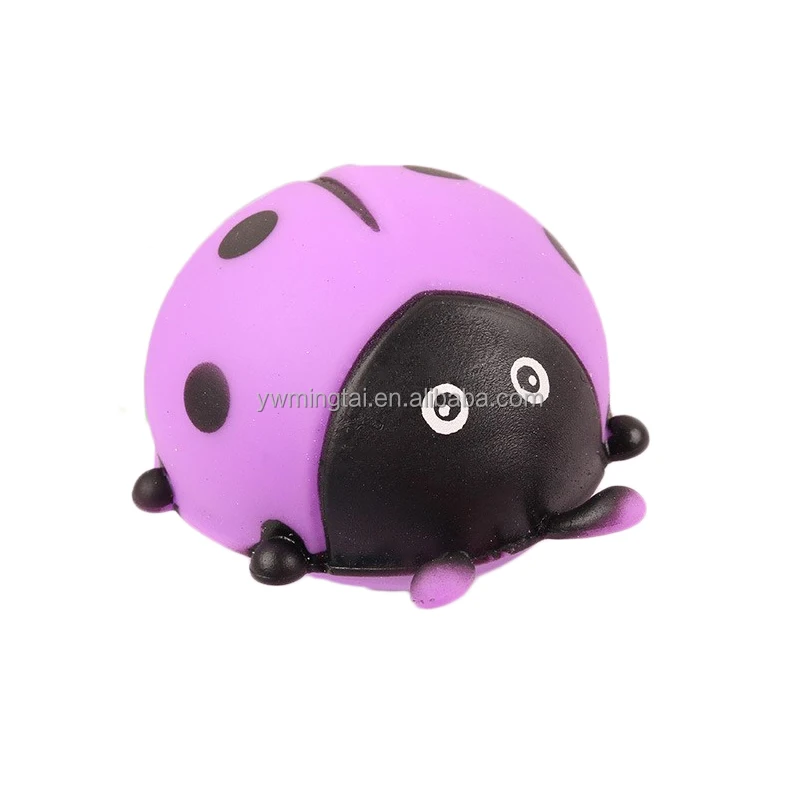 TPR ladybeetle (3).jpg