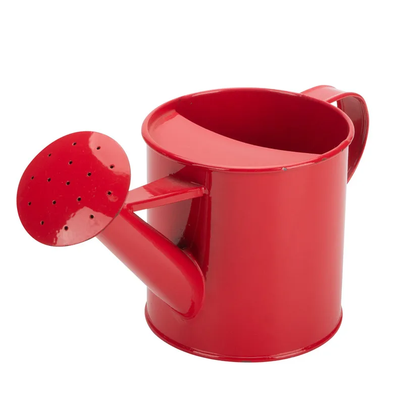 Сад украшенный оцинкованная сталь в винтажном стиле порошок coatedn цветочный горшок дешевый растения металлического Лейка