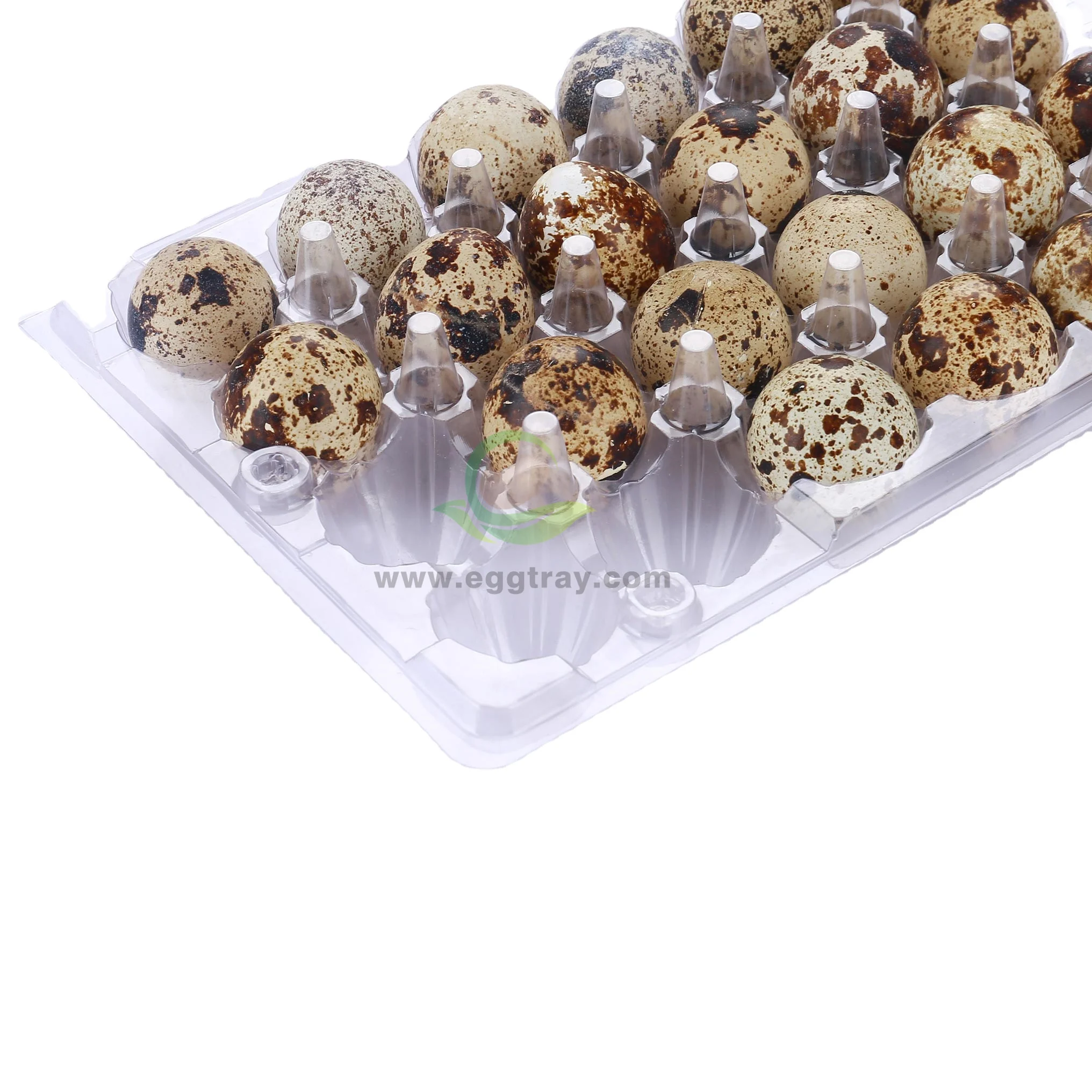High Quality 24 Cells Plastic PET Quail Egg Tray Wholesale Disposable Transparent Egg Case Packaging