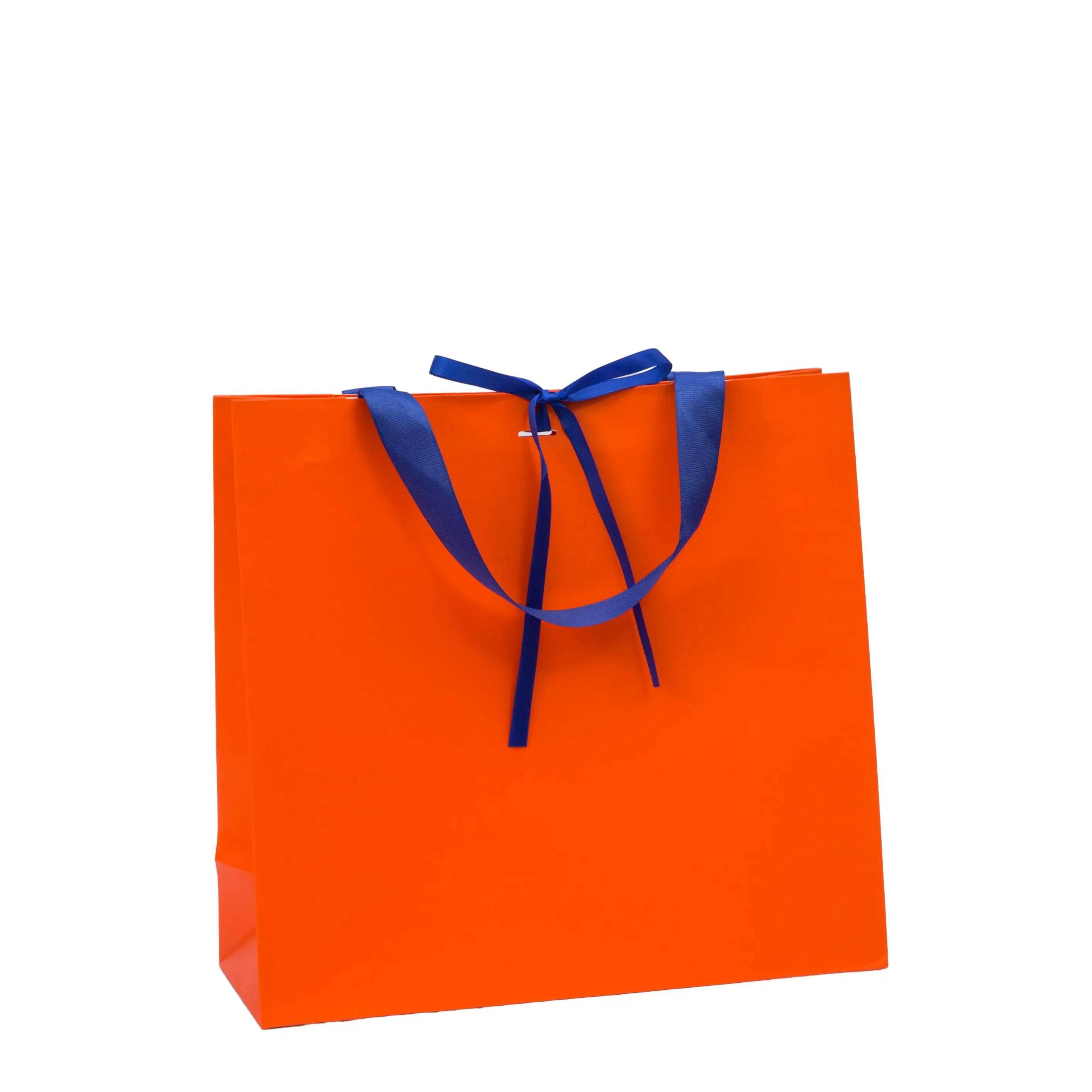 Customised paper bag printed logo quality lingerie clothing bag durable shopping paper gift bag with ribbon handle for boutiques