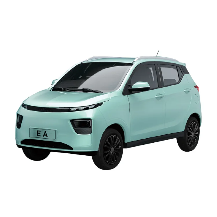 Customized New Product Household Pure Electric Front Disc/Rear Drum new energy suv