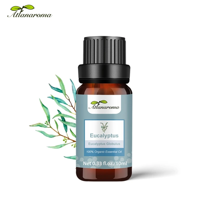 Per Kg New Products Organic Oils Eucalyptus Essential Oil