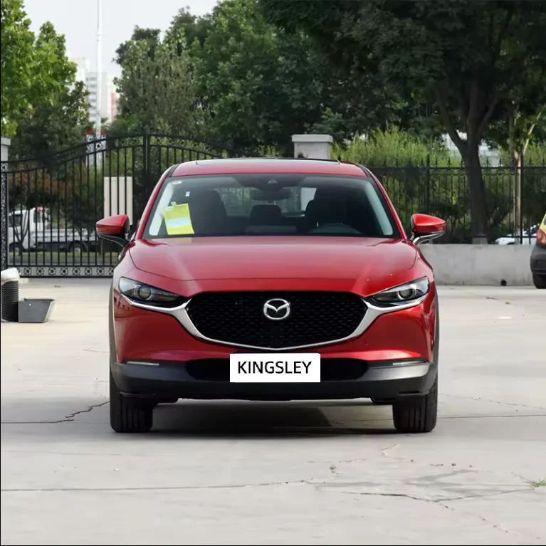 CX-30 Mazda 2 0 л автомобильная светодиодная камера для автомобилей электрическая ткань многофункциональная Cx-5 3 2019