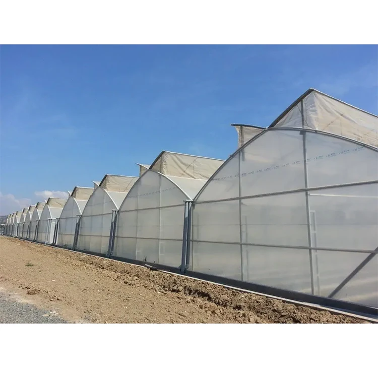 Galvanized Steel Frame Single Span Pe Film Greenhouse for Agriculture Low Cost Tunnel Greenhouse for Flowers Plant