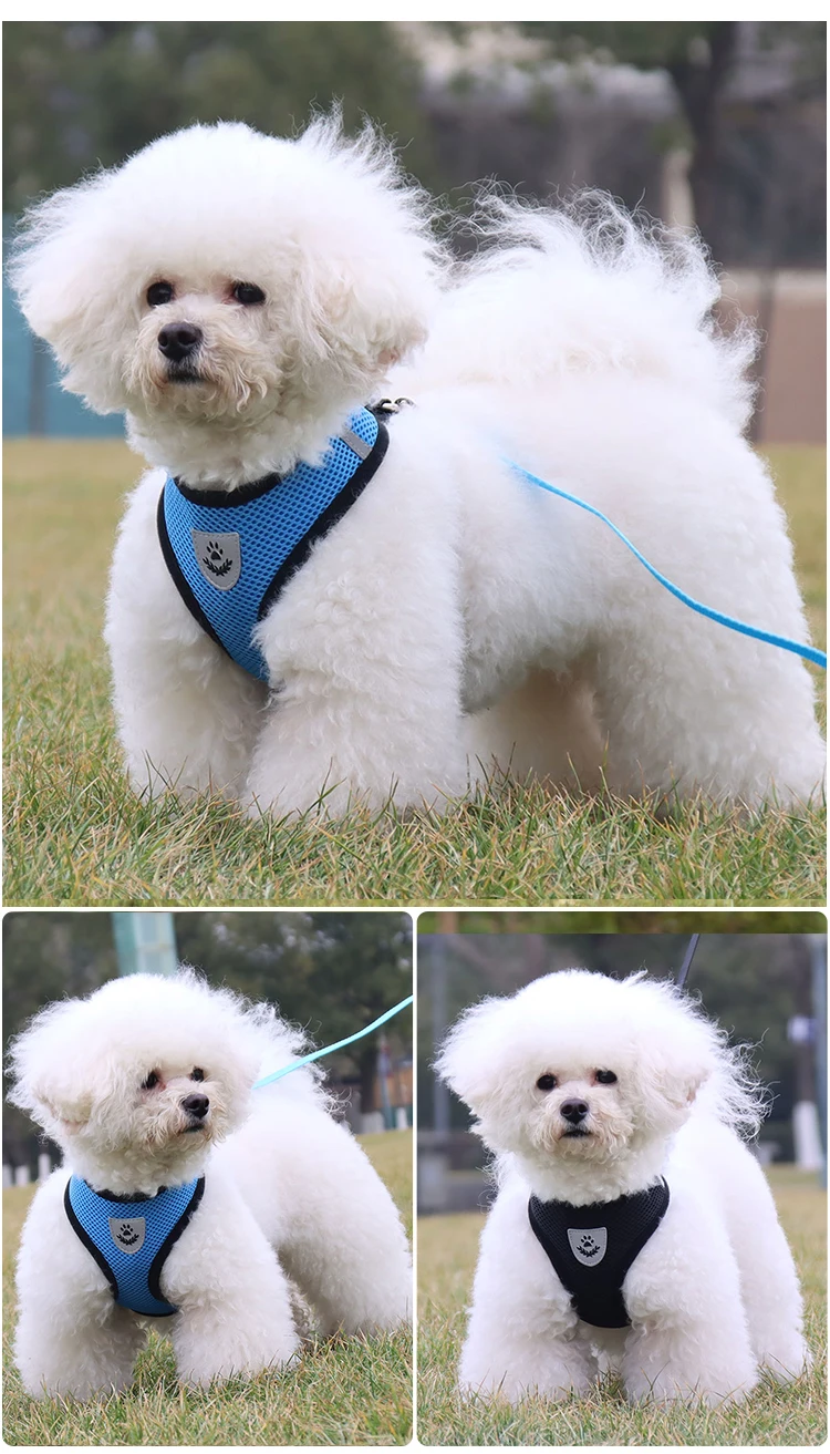 Высокое качество, воздухопроницаемая сублимационная нагрудная шлейка для собак, небольшая сетчатая нагрудная шлейка для собак, жилет