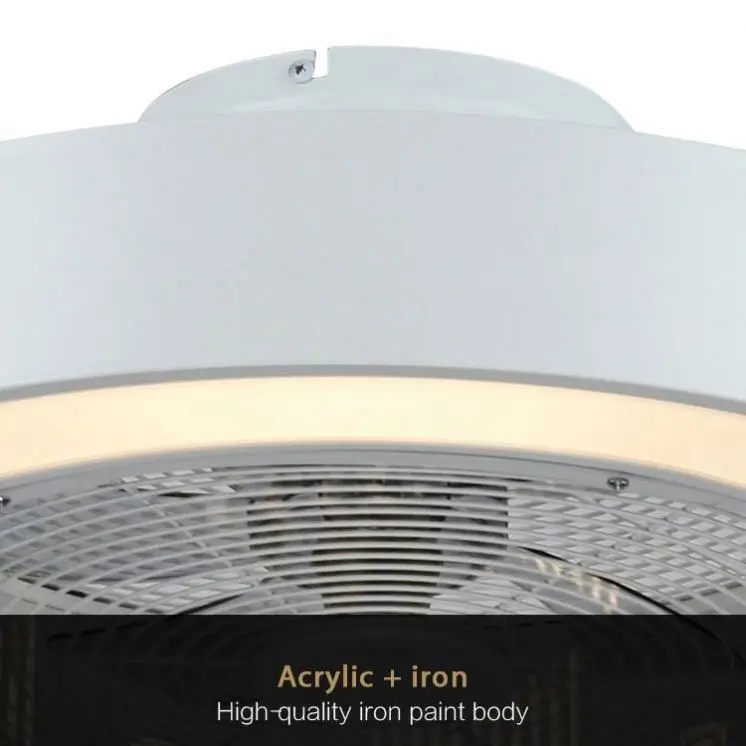 Smart Splint Blade Fan Modern Led Ceiling Fans Light With Lights Remote Control