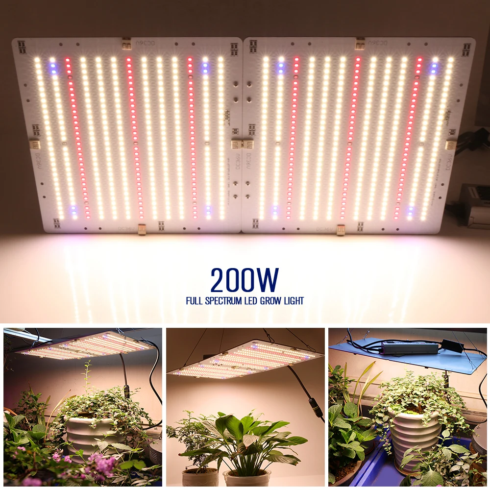 Xinjia Lighting 2000W Ultra-thin Panel Indoor Plant LED Grow Light of ZW0333