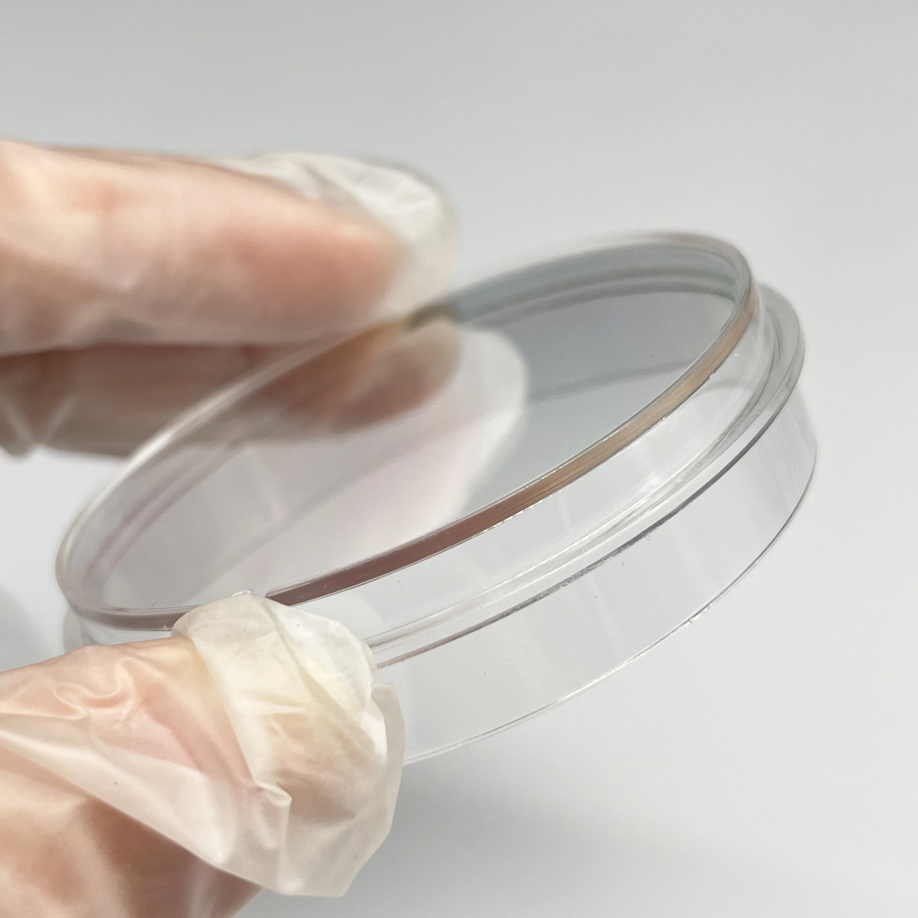 laboratory petri dishes bacterial cell culture tissue culturetreated 60mm sterile transparent round petri dish