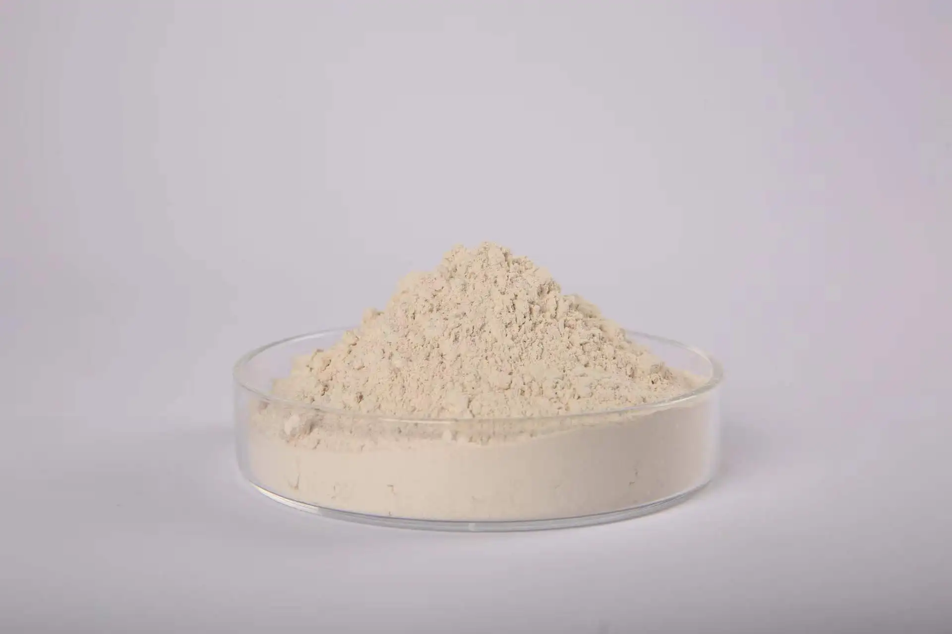 serrapeptase the inflammatory edema of rat skin caused by various pro-inflammatory