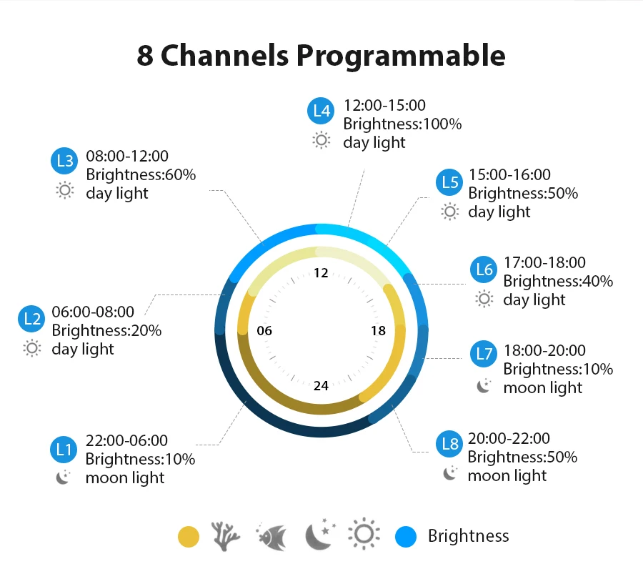 aquarium light (10).jpg