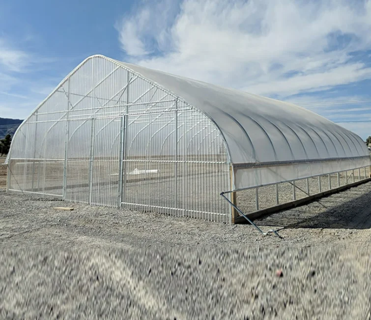CHOYUEH Low cost tunnel film greenhouse for growing strawberry