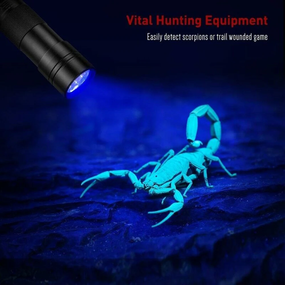 Currency Detector UV flashlight 12LED mini size Ultraviolet flashlights torches 395nm find scorpion Urine & Bodily flashlights