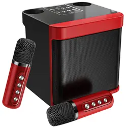 Portable Bluetooth Karaoke Speaker for TV, with 2 Wireless Microphones PA Speaker System for Indoor Outdoor Party, Family Party