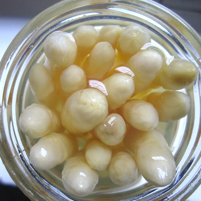 Canned White Asprargus Organic Tinned/Glass Jar Vegetables Wholesale