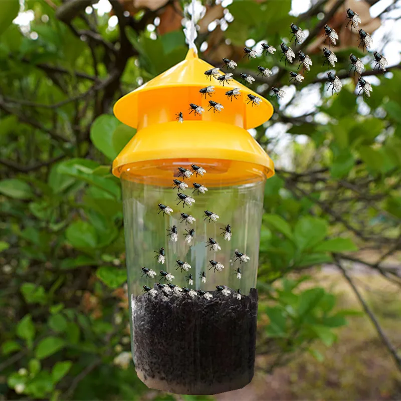 New Drosophila Trap Orchard Vegetable Sweet Potato Orange Fruit Fly Needle Bee Attractant Fly Trap