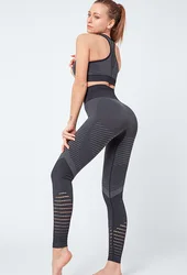 High Elasticity 2 Pieces Workout Set, Women Body Building Seamless Yoga Suit Set, High Waist Mesh Leggings Gym Sets