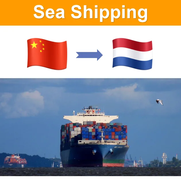 Fast FCL 40HQ Sea Freight forwarding DDP from Shenzhen China to the Netherlands with Customs clearance and Door to Door Services