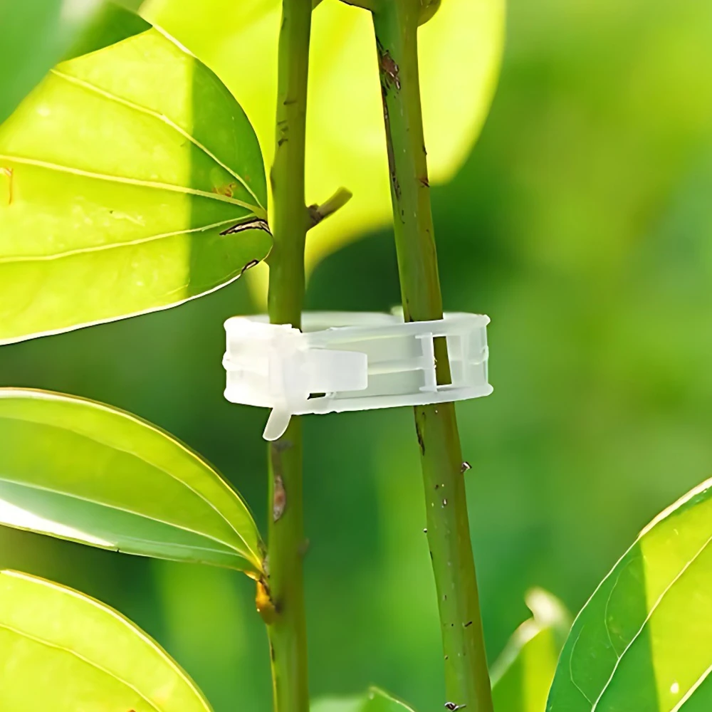 Plastic Garden Vegetable Tomato Plant Support Climbing Small Branch Clips