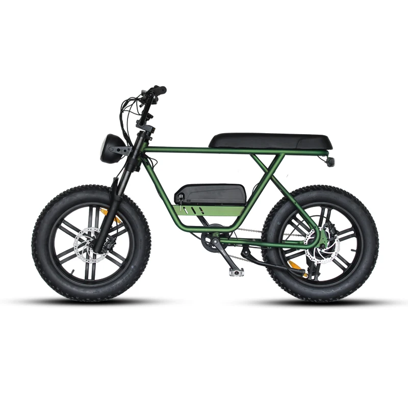 48v Big Power 20 inch Folding Fat Tire Electric Bike/Snow Ebike/Electric Beach Cruiser Bicycle 24 inch folding bicycle