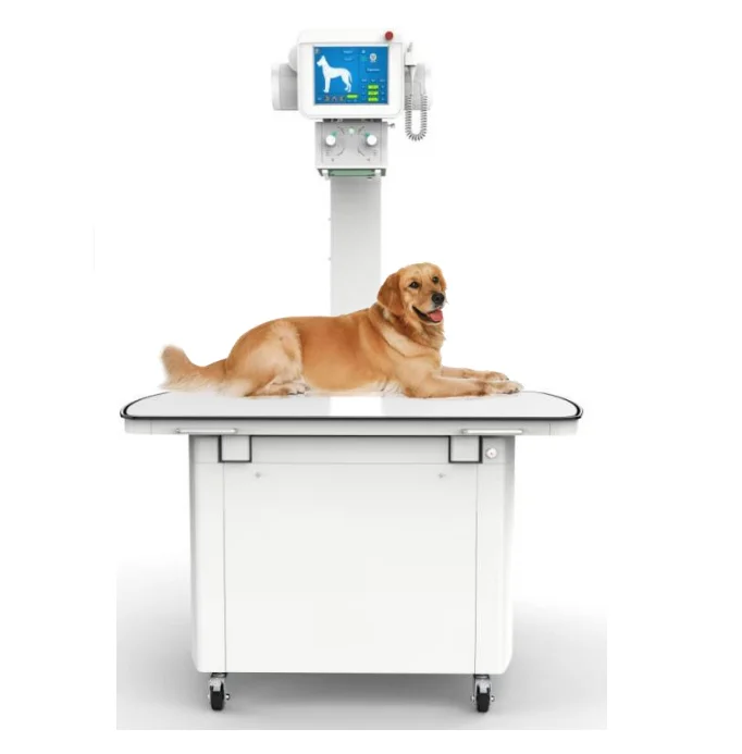 Veterinary X-ray Machine SD32DR 400mA  Animal Computed High Frequency Veterinary Dog DR Detector X Ray Machine Digital Vet X-Ray