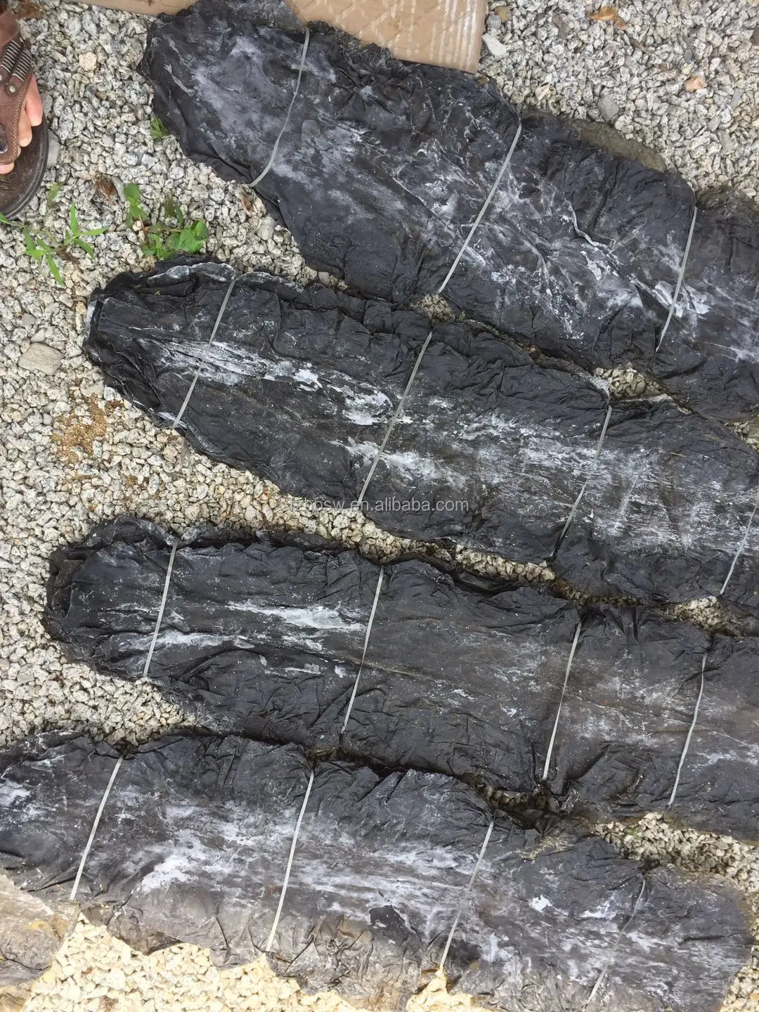 Factory Competitive Price Direct Sales  Dried Kelp/Kombu Sheet Seaweed