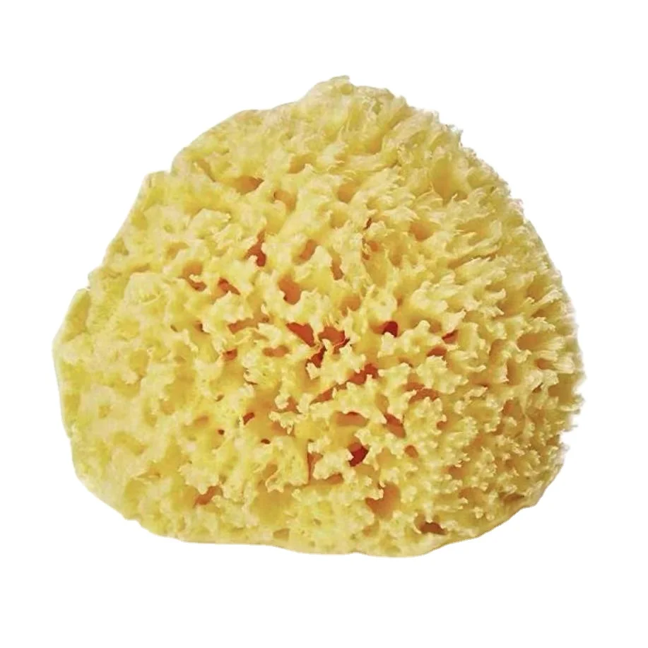 Lonx Household Natural Sea Sponge From Greece Dead Wool Deep Sea Sponge