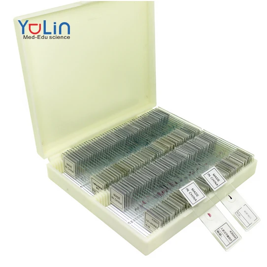 Histology Microscope Slides 100 pcs Transparent Biology Science Medical Education Human Tissue Prepared Slides