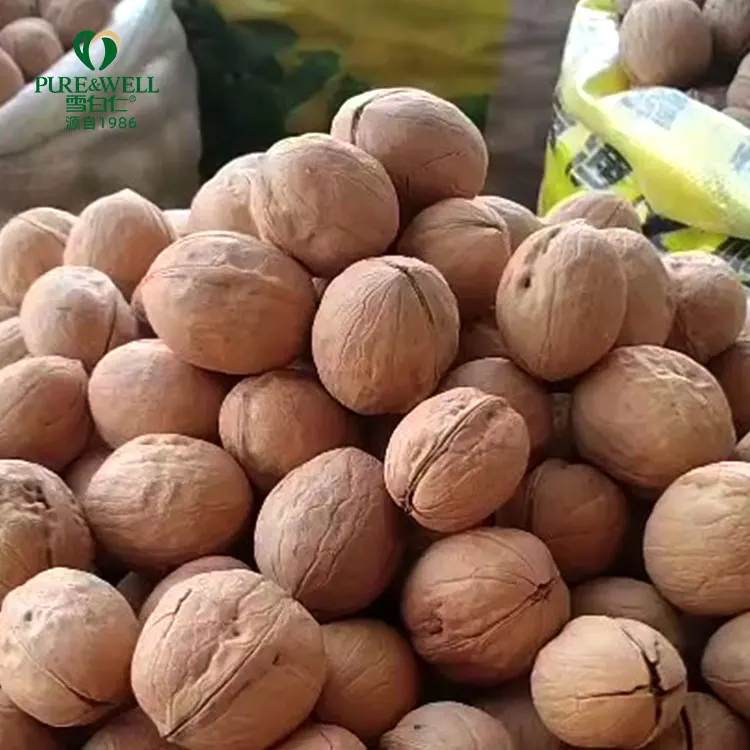 Лидер продаж, натуральные органические грецкие орехи в скорлупе по самой низкой цене