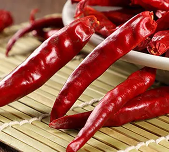 High Quality Natural Chili Big Chili Pepper Wholesale Dried Red Chili For Seasoning from Sichuan China