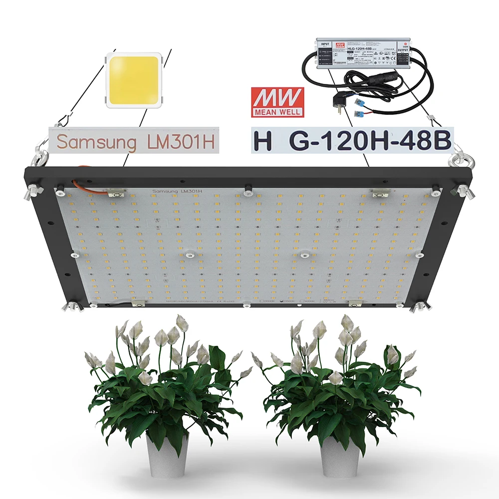 
2021 hot sale 120W QB288 quantum plate LM301H 3000K 3500K 4000K led grow light for indoor plants with MW H series driver 