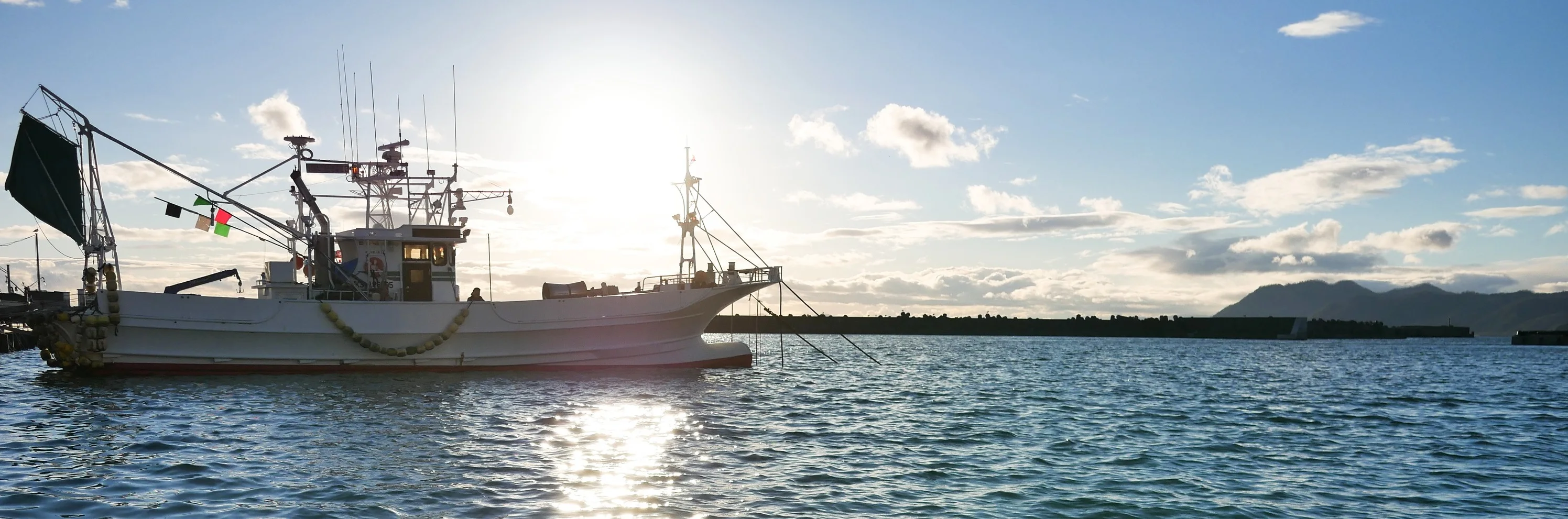 TAKO 10kg frozen octopus 10kg market frozen seafood from Japan
