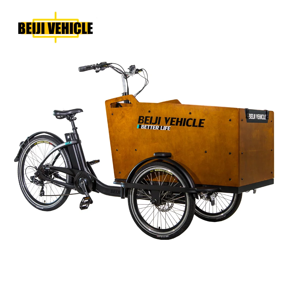 Cargo bike electric  frame tricycle three wheel ebike / family bike bicycle with rain cover