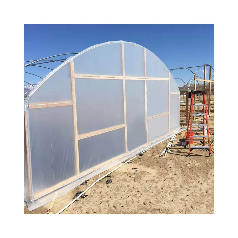 Hot Sale Large Operation And Practicality Can Be Customized  Green House Tomato Greenhouse With Hydroponic Growing Systems