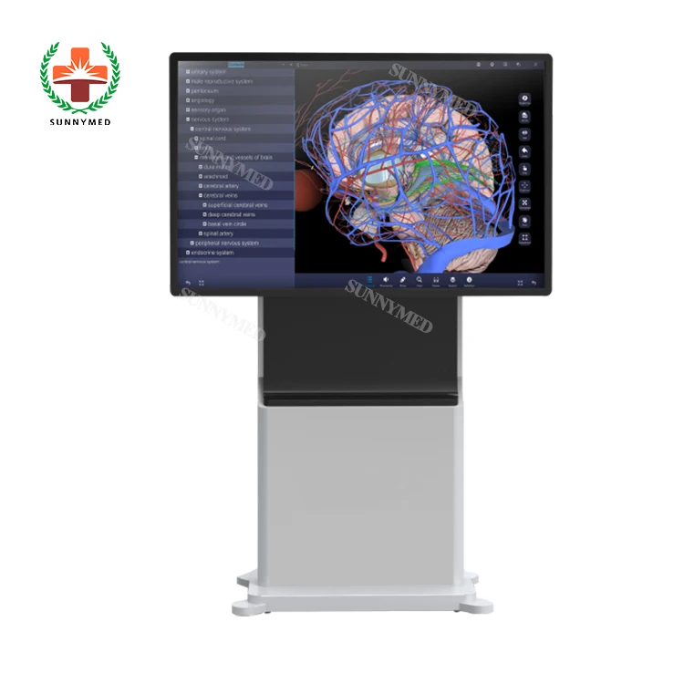 SY-YU01 human 3D anatomy virtual system School Digital Human Body Anatomy System