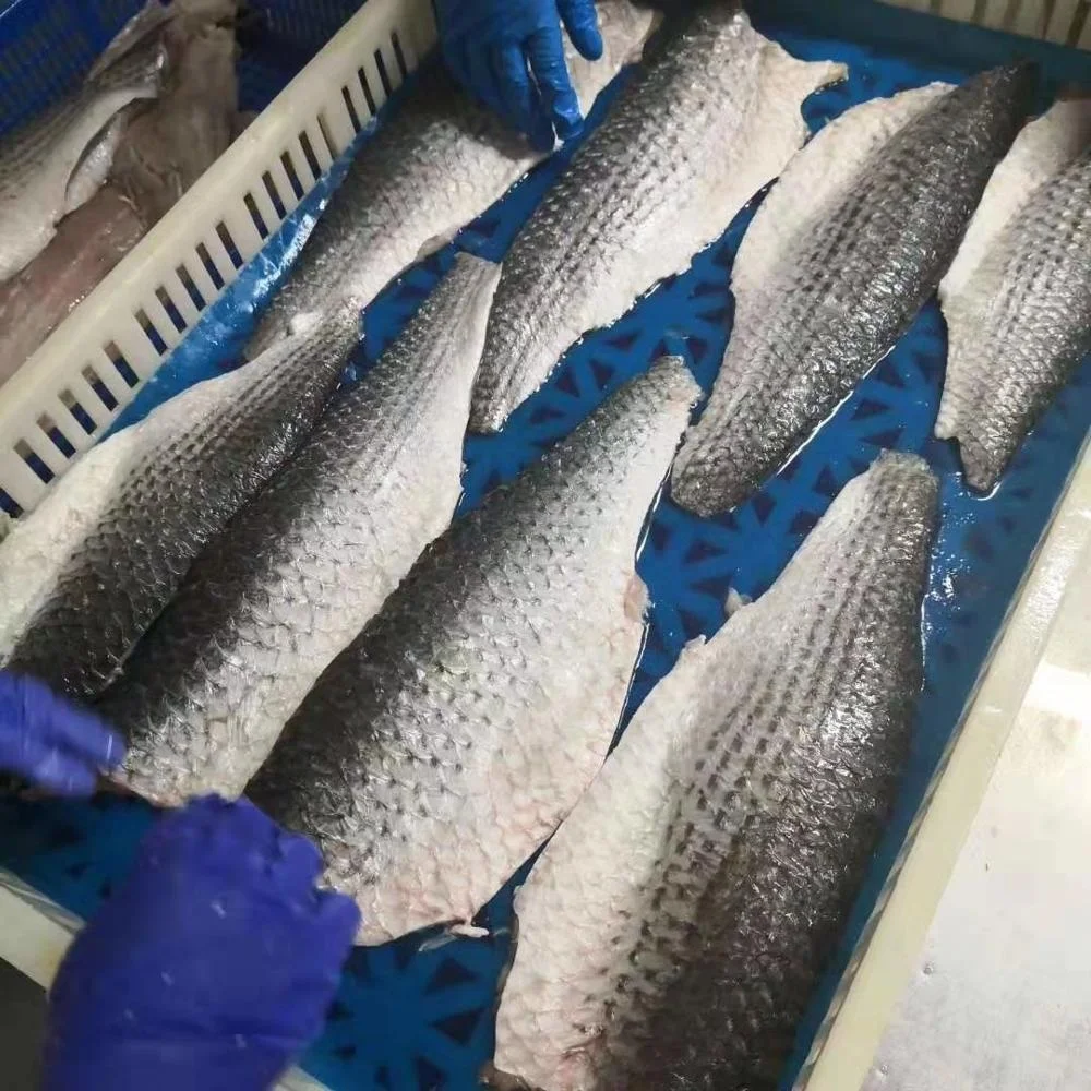 Замороженные морепродукты Серые мульлетные рыбы 1-2 кг