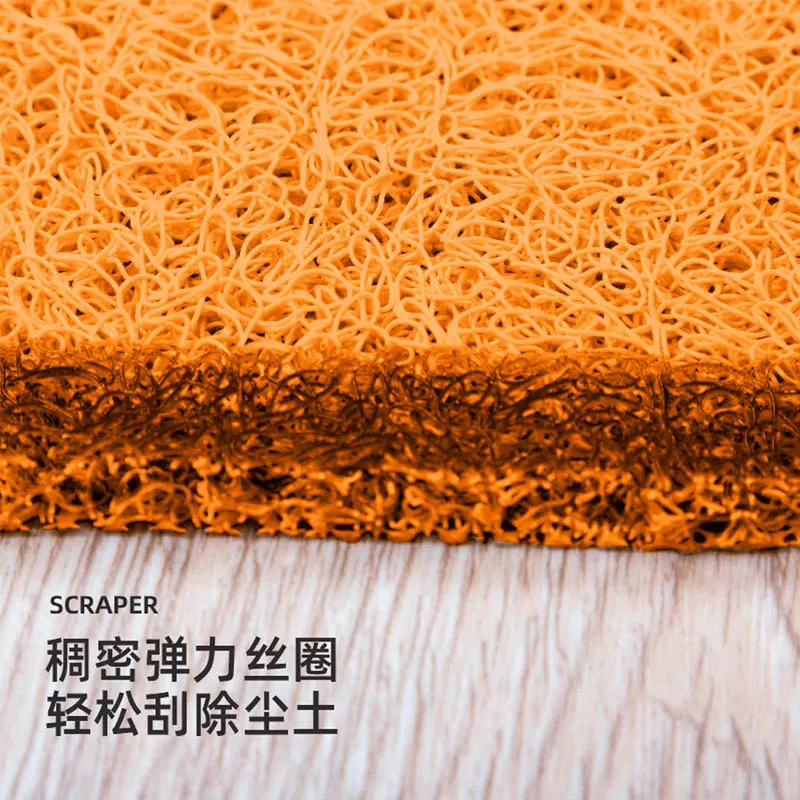 Cartoon silk floor  entry door mat home living room bathroom non-slip porch carpet