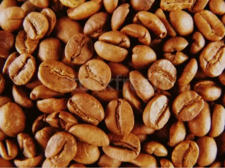 Automatic Filler Vertical Grain Bag With Multihead Weigher Snack Granular Sugar Coffee Bean Packing Machine 1kg