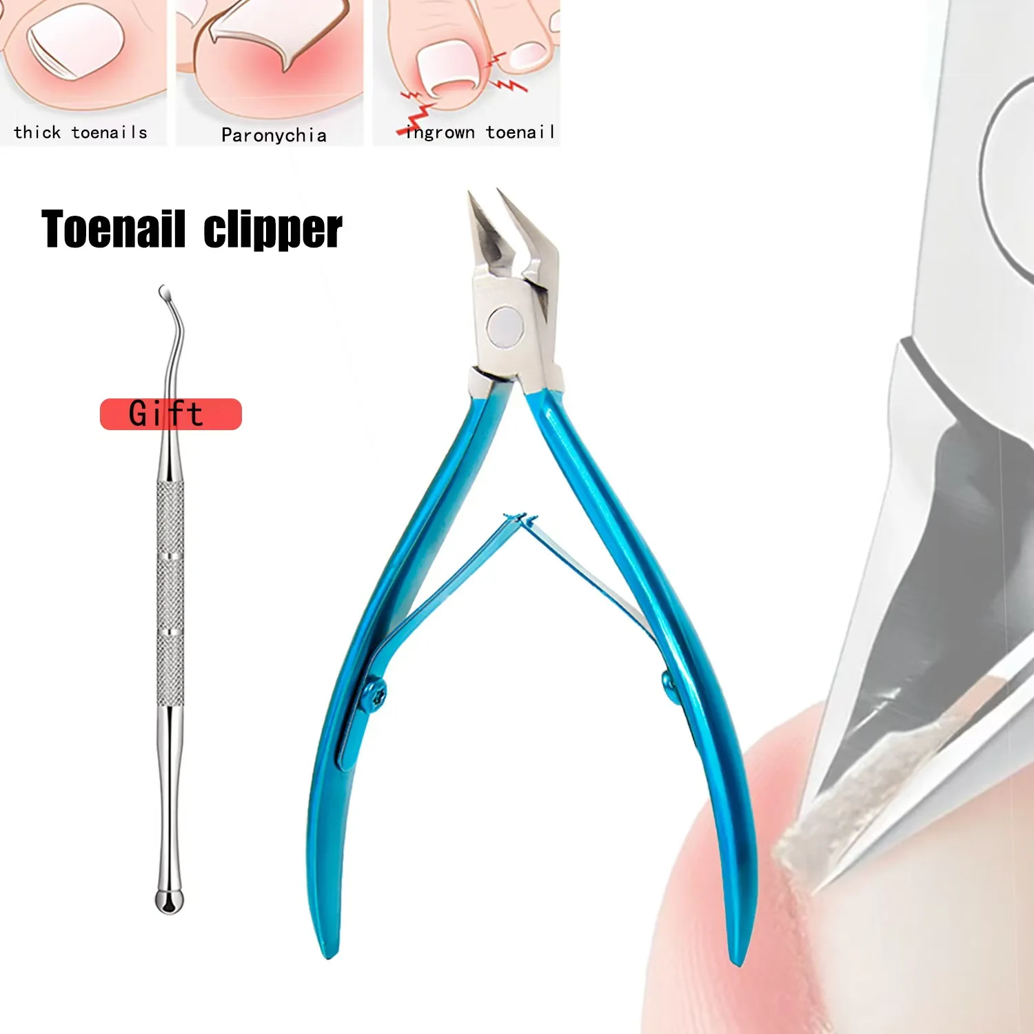 BIN Stainless steel scissors for nail grooves and hawks Nail clippers to remove dead skin and cut toenail diagonal scissors