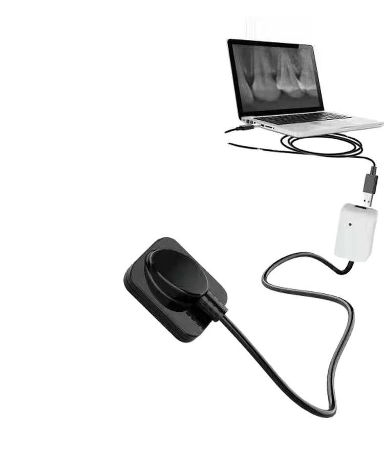 High Quality Resolution APS CMOS Dental RVG Digital Intraoral Imaging Dental X Ray Sensor