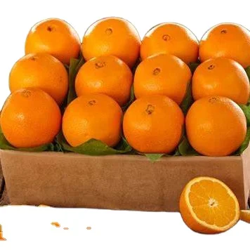 Manufacture Natural High Quality Sweet Fresh Citrus Mandarin Navel Orange Citrus Fruit 1 Container 7 - 15 Days Top Grade Carton