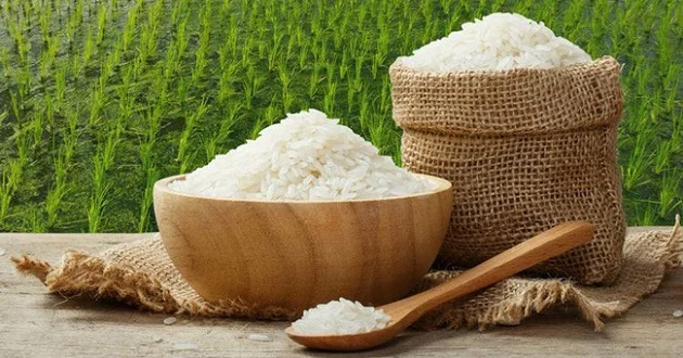 ST 25 Rice Grain - Viet Nam Export Quality Organic ST 25 Soft White Long-Grain Rice 0.5% Broken Grain Rice