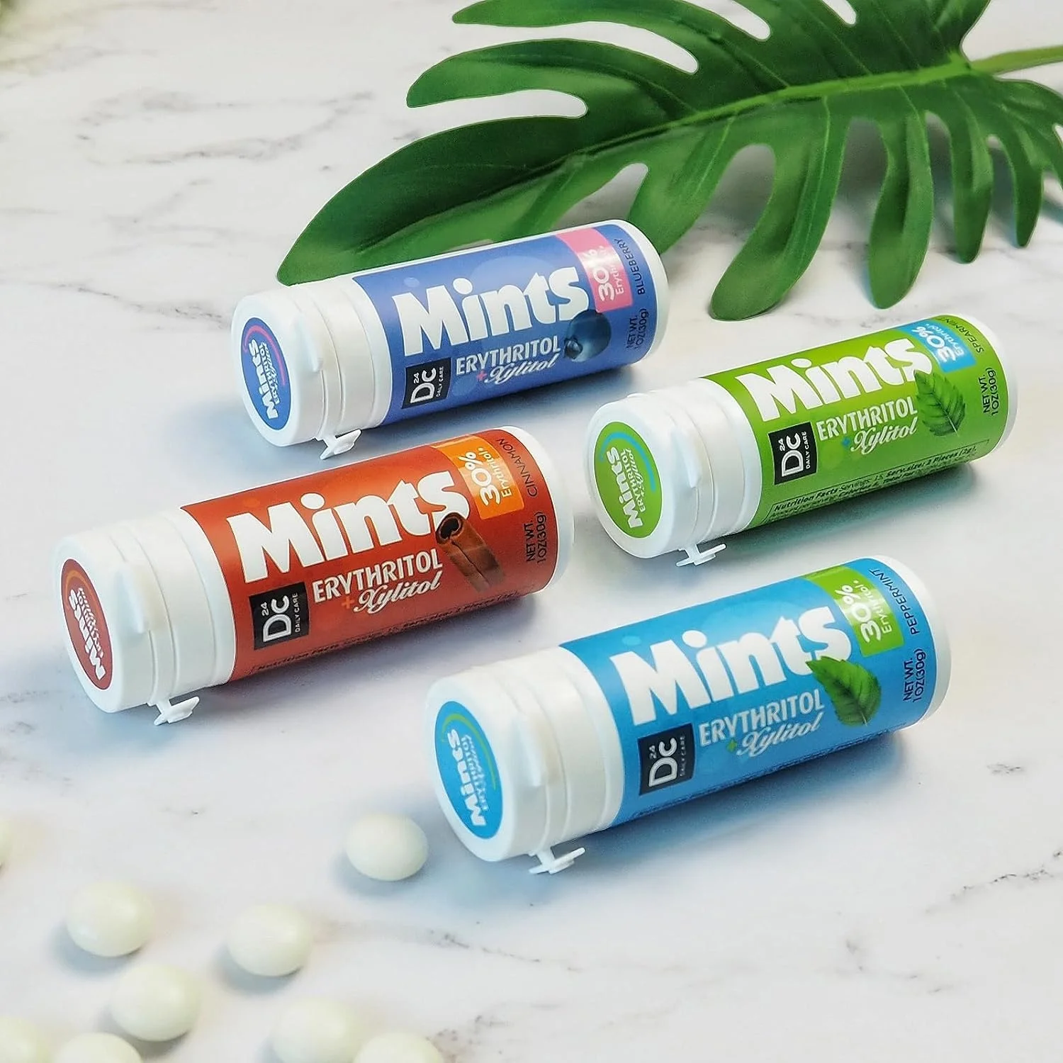 1.0g  DC24 mint xylitol & erythritol mint mouth watering mints